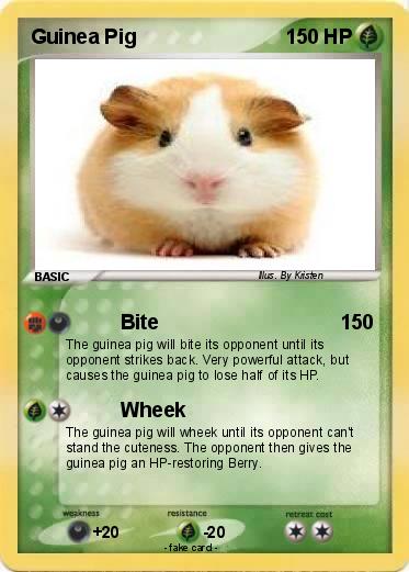 Pokemon Guinea Pig