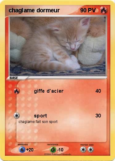 Pokemon chaglame dormeur