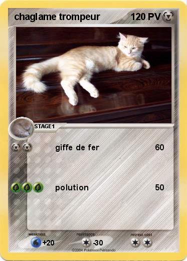Pokemon chaglame trompeur