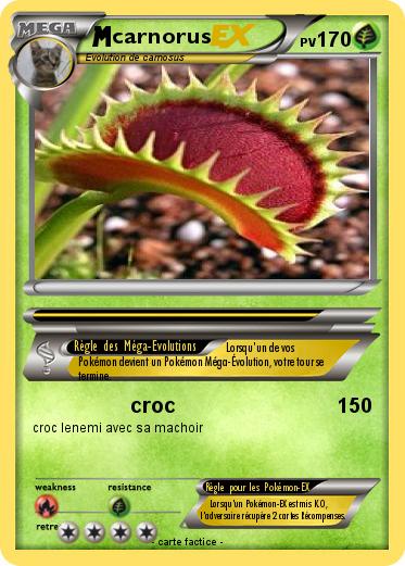 Pokemon carnorus