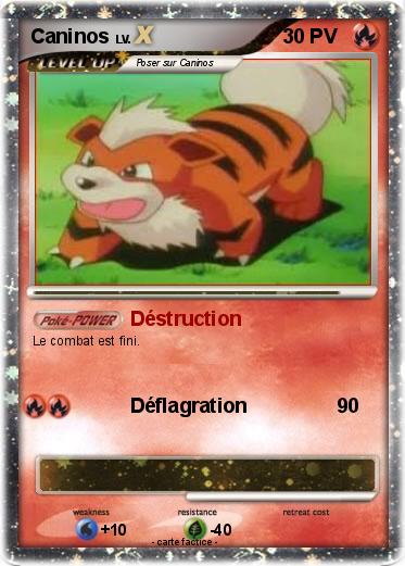 Pokemon Caninos