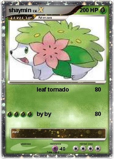 Pokemon shaymin