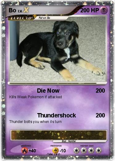 Pokemon Bo