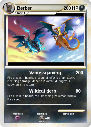 Pokemon Berber