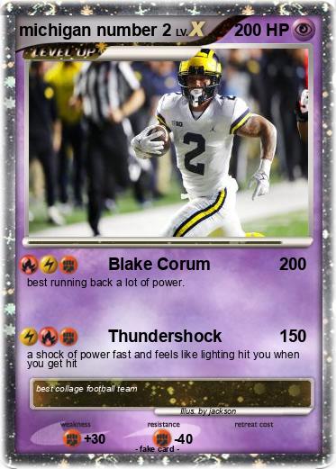 Pokemon michigan number 2