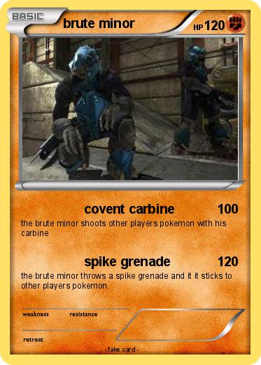 Pokemon brute minor