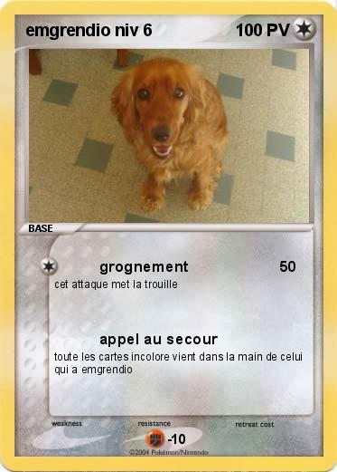 Pokemon emgrendio niv 6