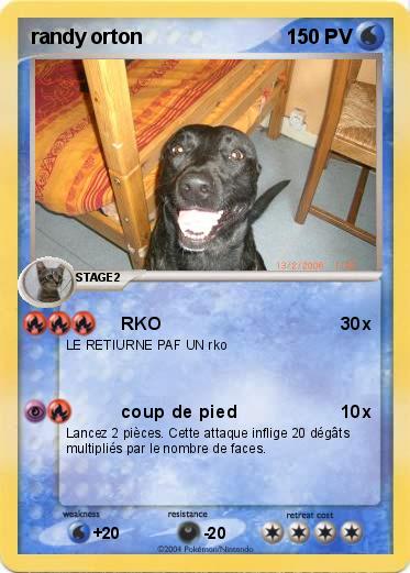Pokemon randy orton                                       