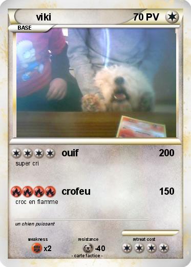 Pokemon viki