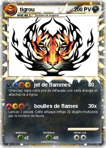 Pokemon tigrou