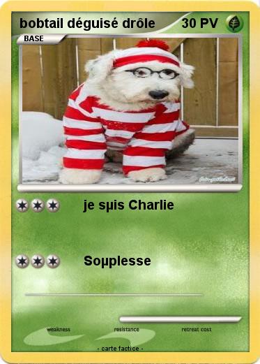 Pokemon bobtail déguisé drôle