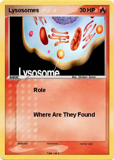 Pokemon Lysosomes