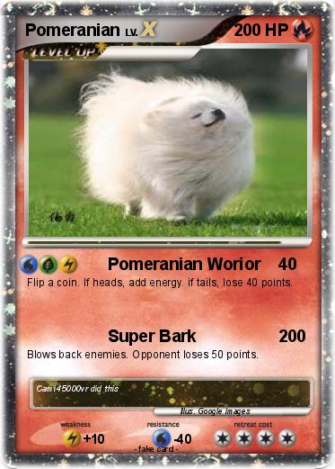 Pokemon Pomeranian