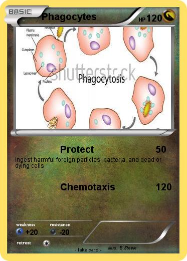 Pokemon Phagocytes
