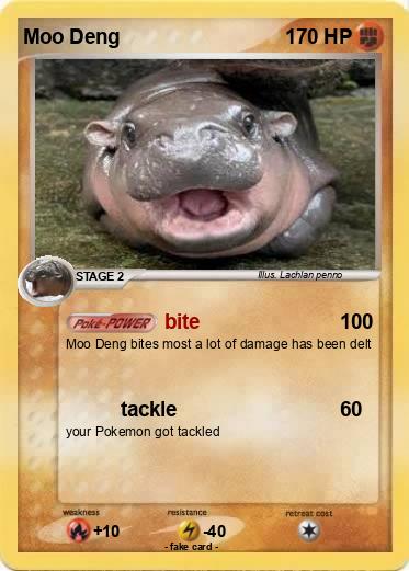 Pokemon Moo Deng