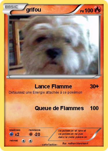 Pokemon grifou