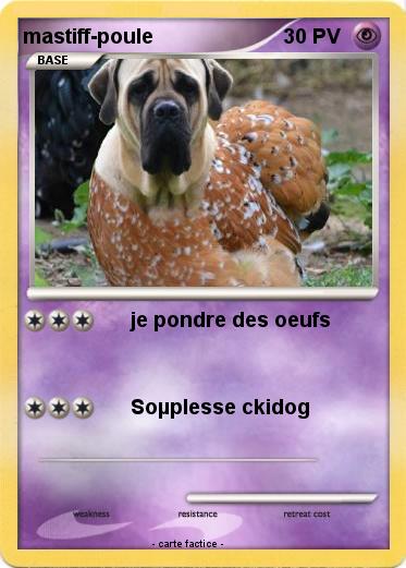 Pokemon mastiff-poule