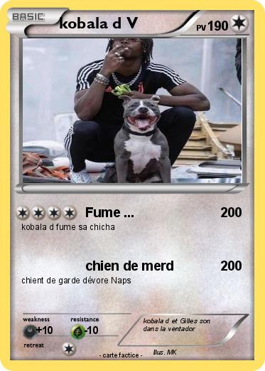 Pokemon kobala d V