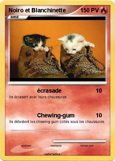 Pokemon Noiro et Blanchinette