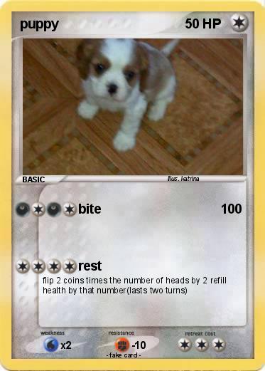 Pokemon puppy