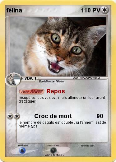 Pokemon félina