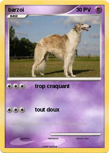 Pokemon barzoi