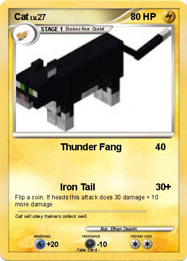 Pokemon Cat