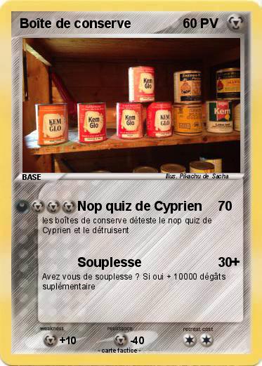 Pokemon Boîte de conserve