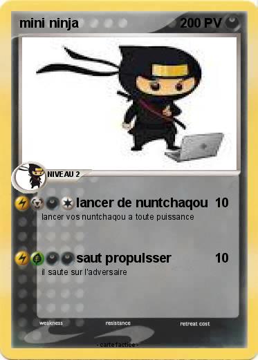 Pokemon mini ninja