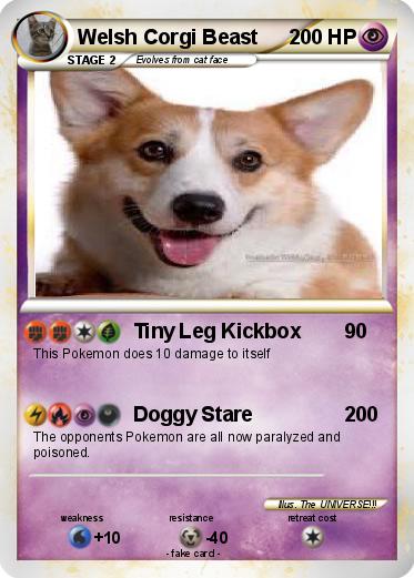 Pokemon Welsh Corgi Beast