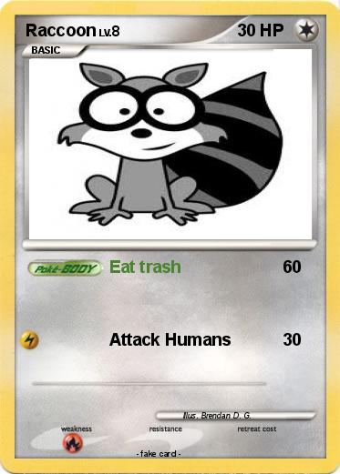 Pokemon Raccoon