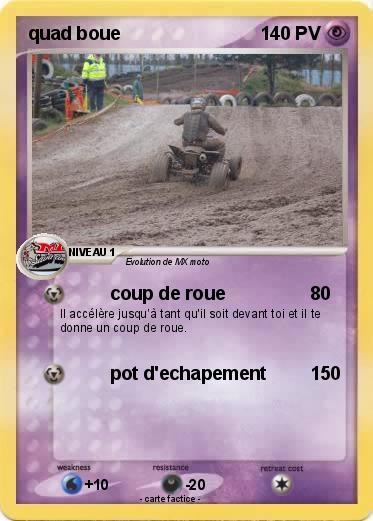 Pokemon quad boue