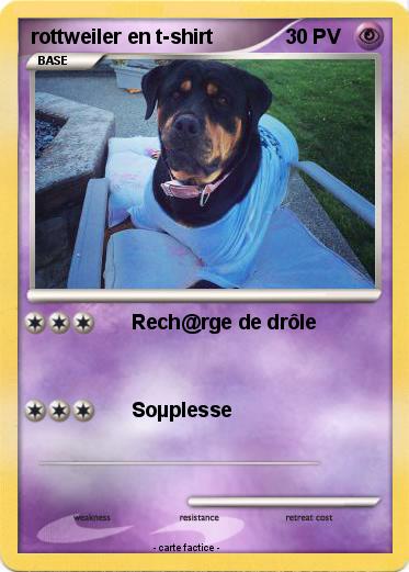 Pokemon rottweiler en t-shirt