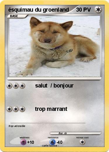 Pokemon ésquimau du groenland