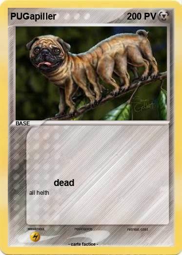 Pokemon PUGapiller