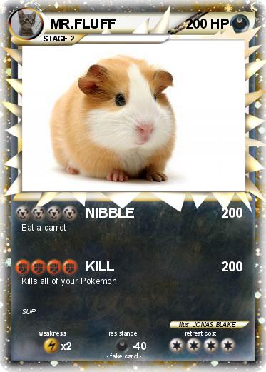 Pokemon MR.FLUFF