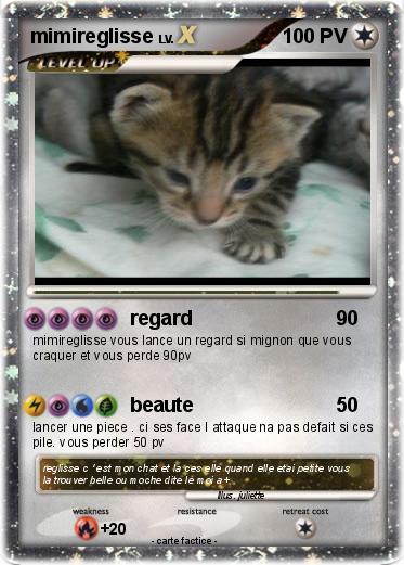 Pokemon mimireglisse