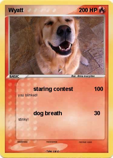 Pokemon Wyatt
