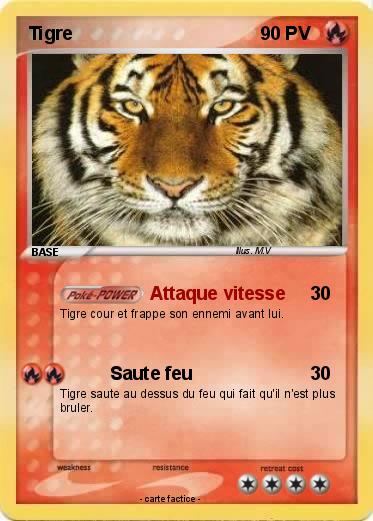 Pokemon Tigre