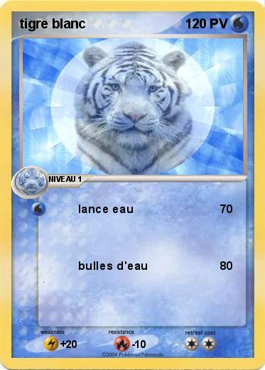 Pokemon tigre blanc 