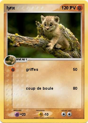 Pokemon lynx