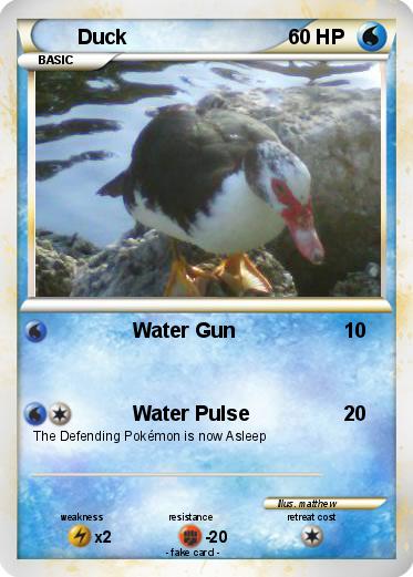 Pokemon Duck