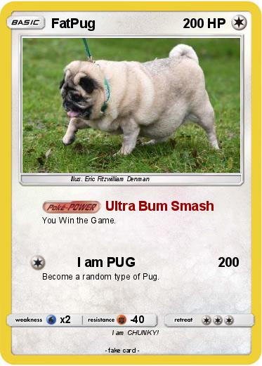 Pokemon FatPug