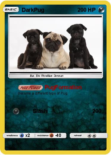 Pokemon DarkPug