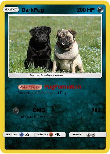 Pokemon DarkPug