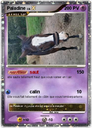 Pokemon Paladine