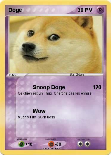 Pokemon Doge