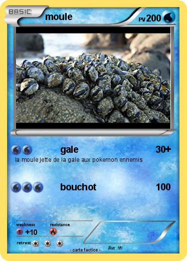 Pokemon moule