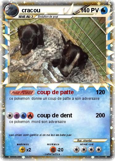 Pokemon cracou