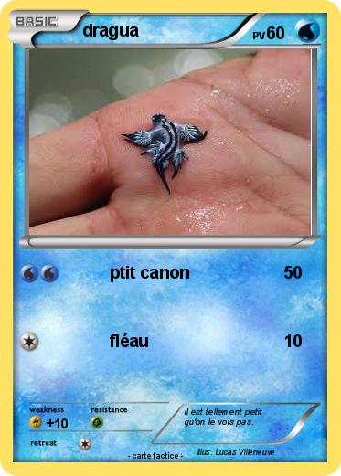 Pokemon dragua